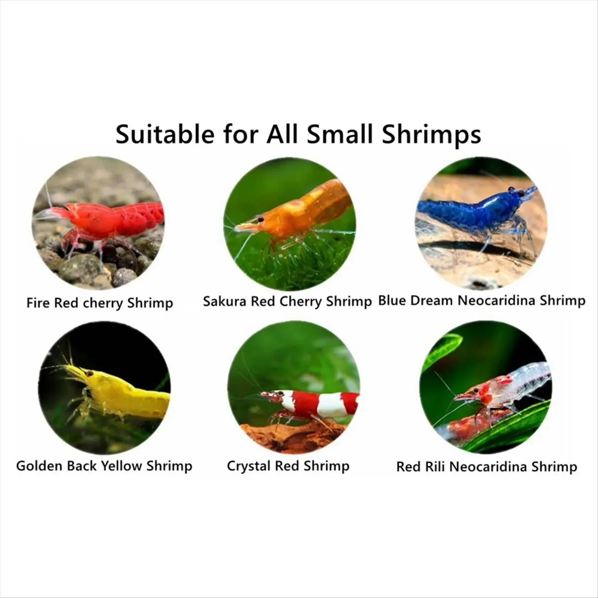 A20I Shrimp Breeding Protector - Shrimp Breeding Cave Indoor Outdoor Aquarium Cave Aquarium Tunnel Shrimp Hides Black