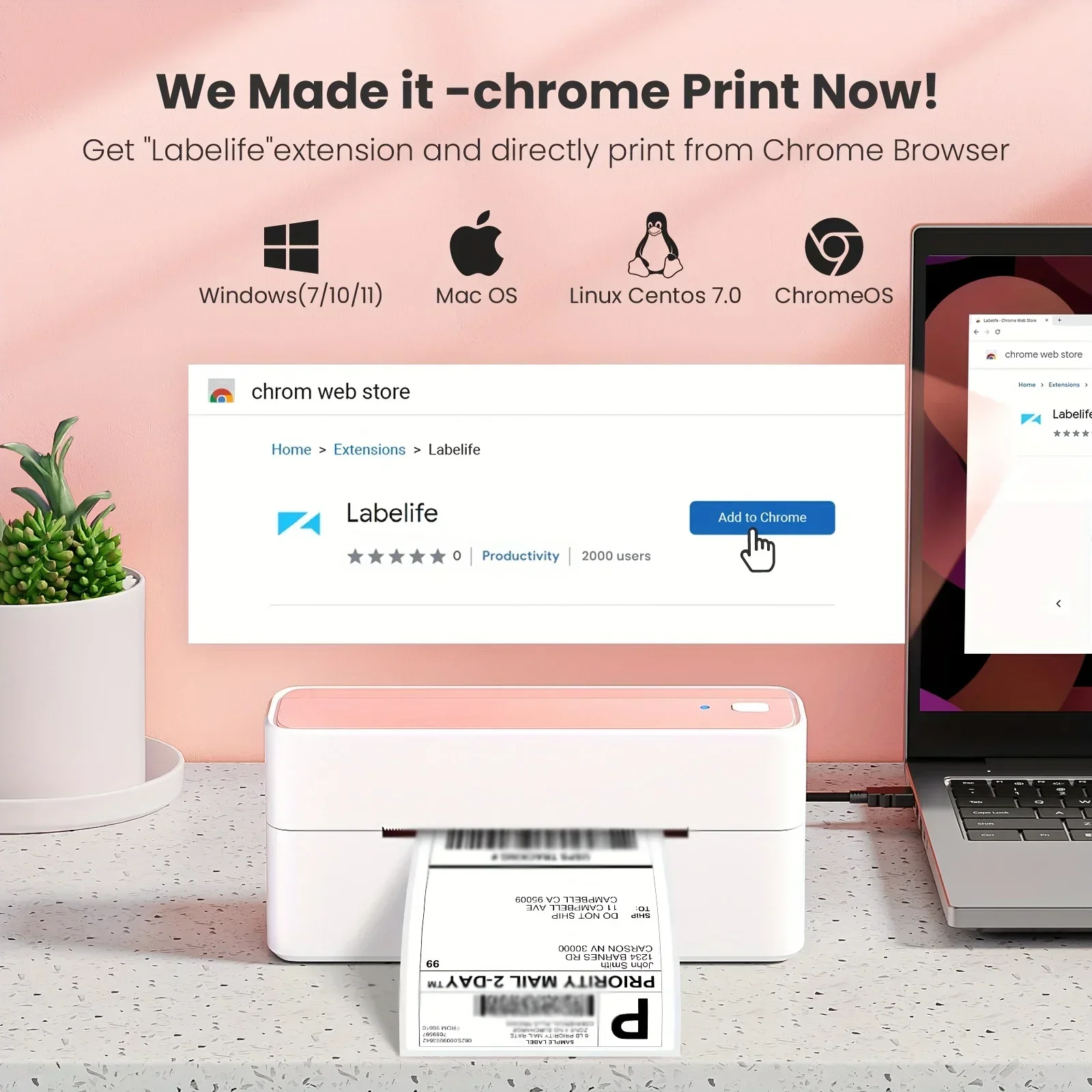 2026 Phomemo PM-241…