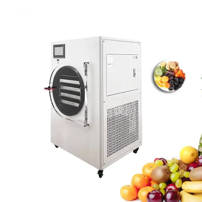 10kg Lyophilizer Vaccum Lab Vacuum Fruit Dryer With Oil Free Pump Multifunctional Food Home Freeze Drying Machine for Wholesales