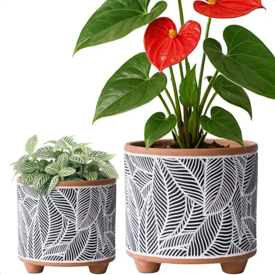 

Set of 2 Terracotta Planter Pots 4 Inch 6 Inch Design Plants Pot with Drainage Hole Monsoon Jungle Terracotta Black 31953H2