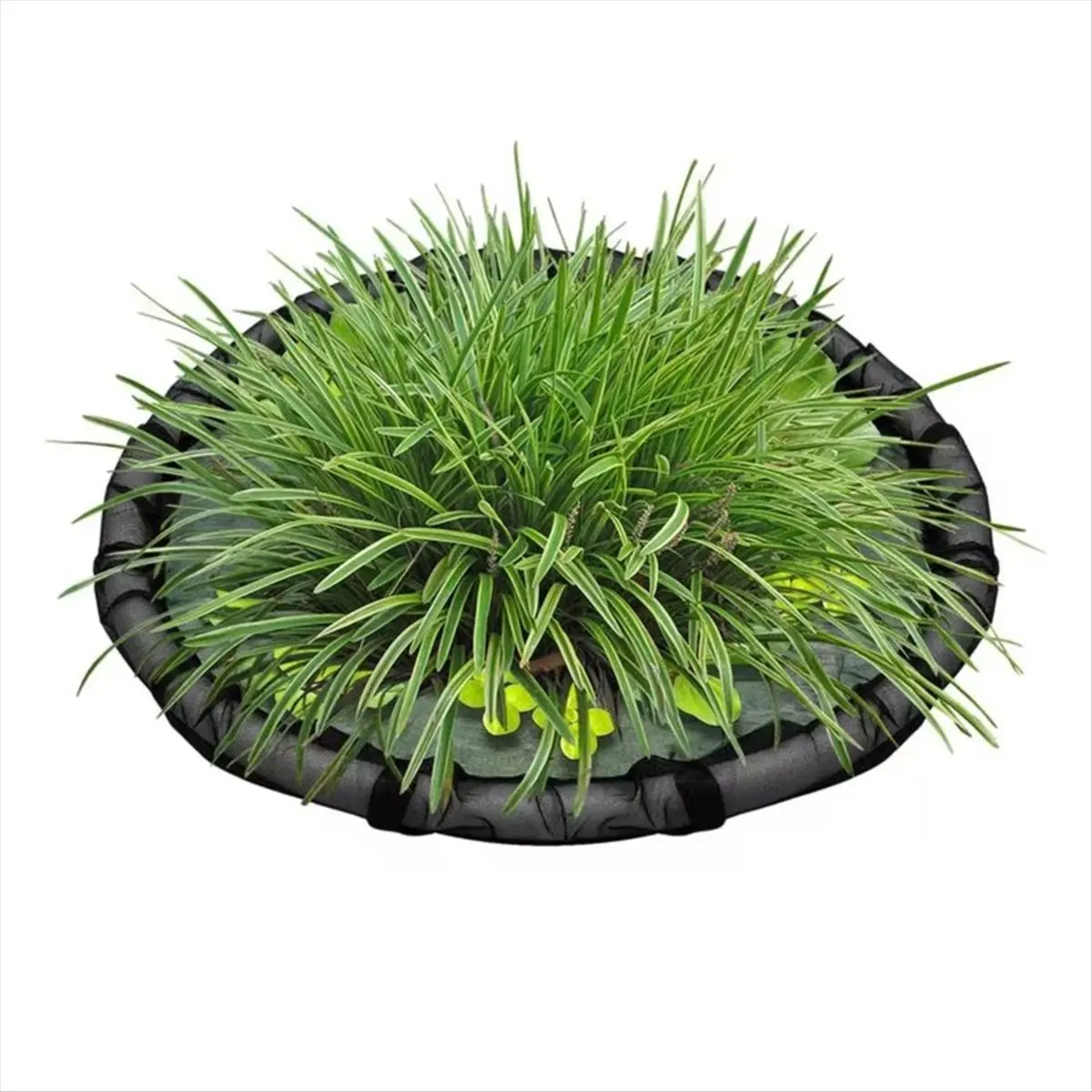 LUCK Floating Plant Corral Floating Island Plant Protector Pond Netting Round Fish Tank Fence for Duckweed Water Outdoor 60cm