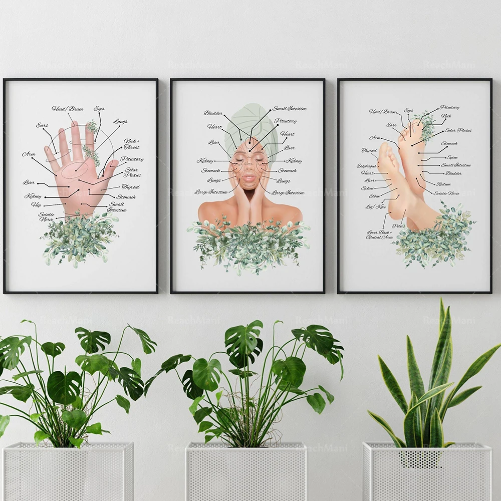 Reflexology infographics, reflexology, art of acupuncture, massage therapist poster, chinese face mapping, spa decoration