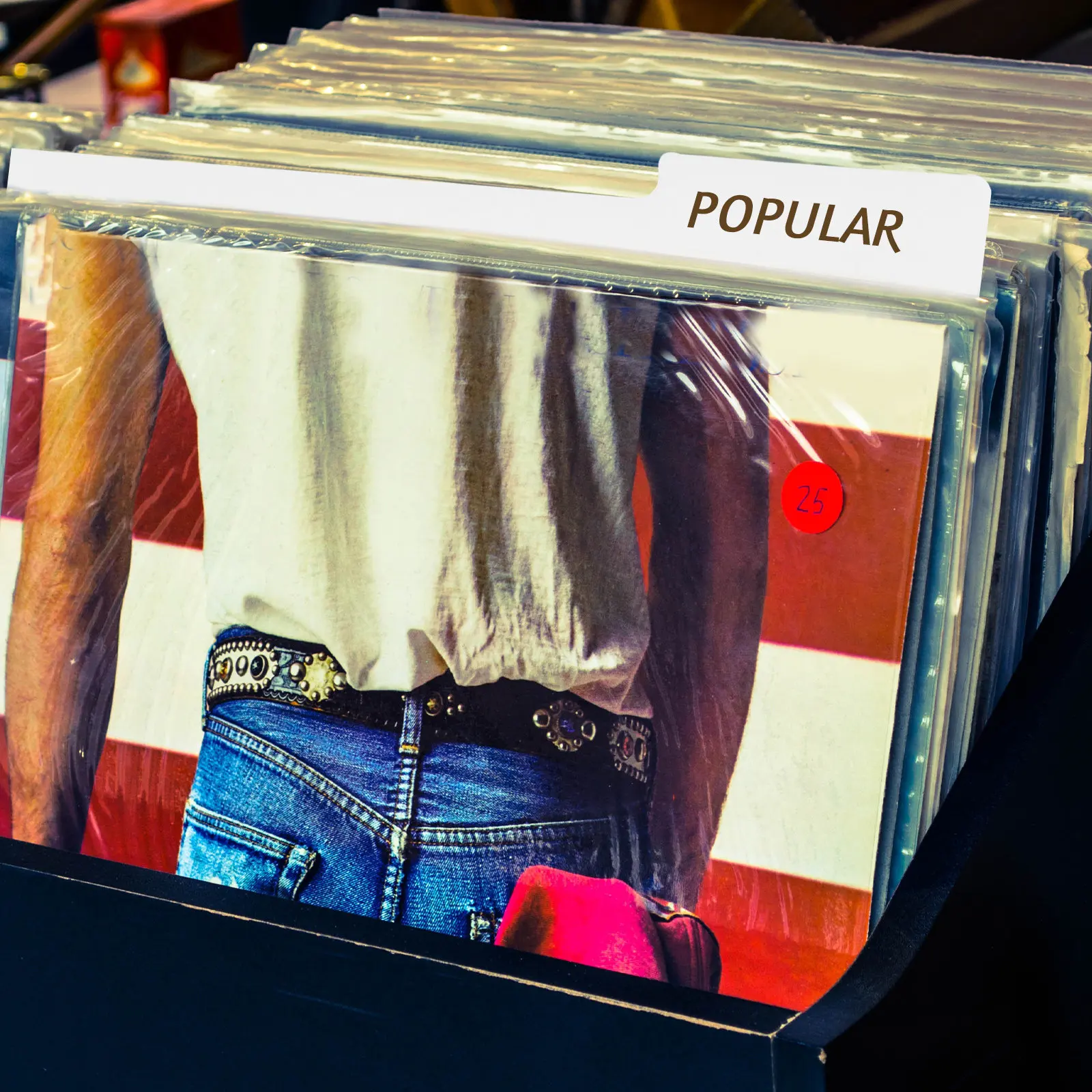 

Vinyl Record Divider High Durability Plastic Record Classification Divider for Vinyl Records Easy Sorting Neat Organization