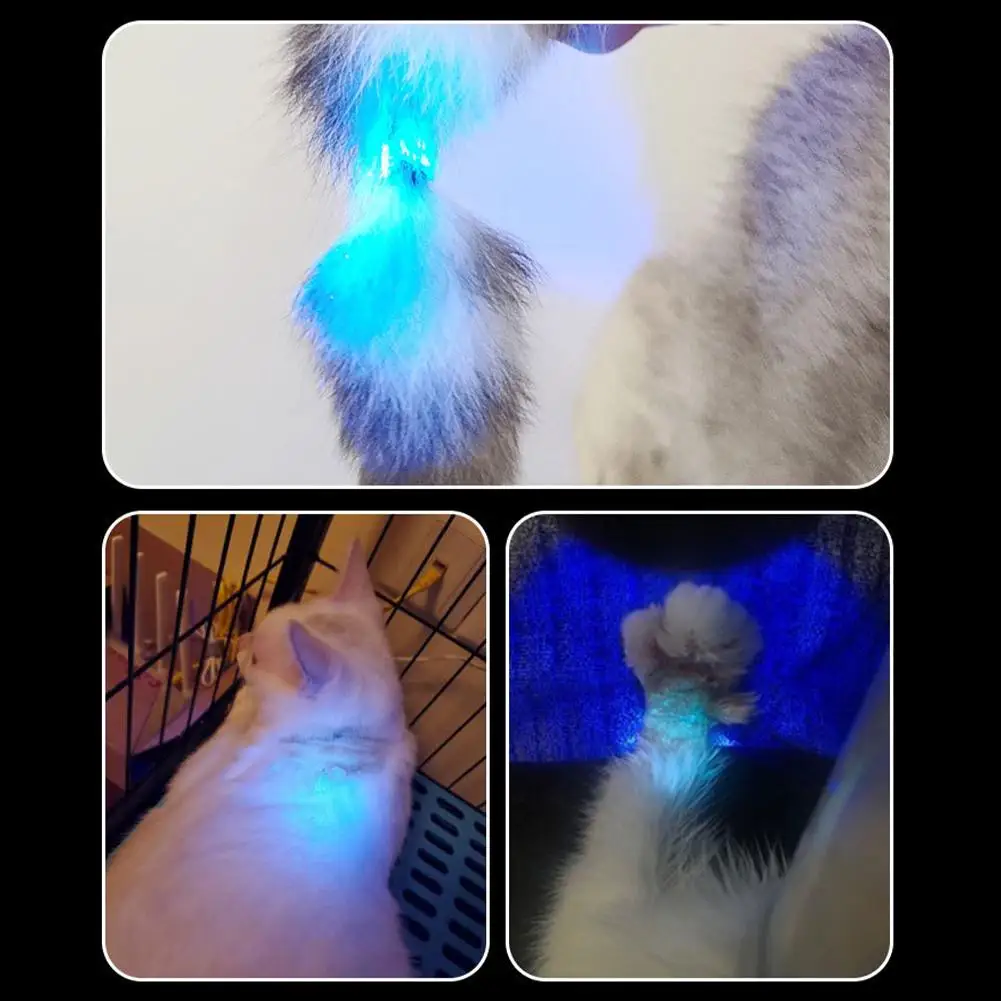 365nm UV-Taschenlampe USB-Aufladung UV-Veterinär lampe Geld detektor für die Erkennung von Haustier pilzen