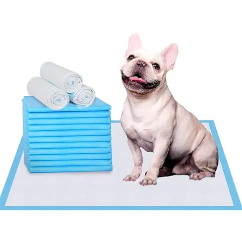 100PCS 90x60cm 강아지 패드 애완 동물 훈련 패드 부직포 애완 동물 훈련 패드 개를위한 빠른 건조 오줌 패드 울트라 흡수성 개