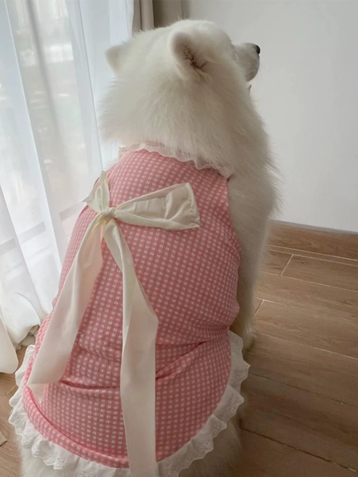 Pink Plaid Bowtie S… - image