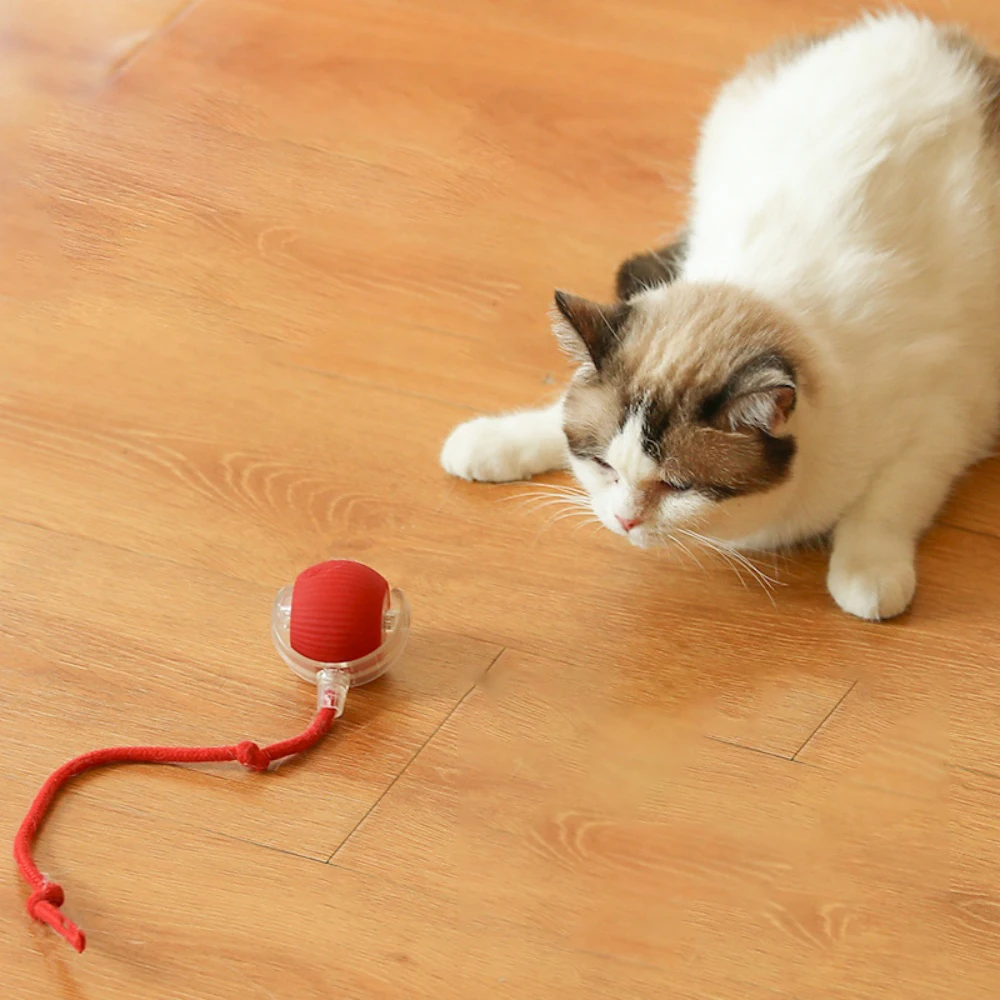 Interactive Cat Toys Ball Auto Electric Rolling Ball Toys for Cats/Kitty Pets Smart Automatic Teaser USB Rechargeable cat access