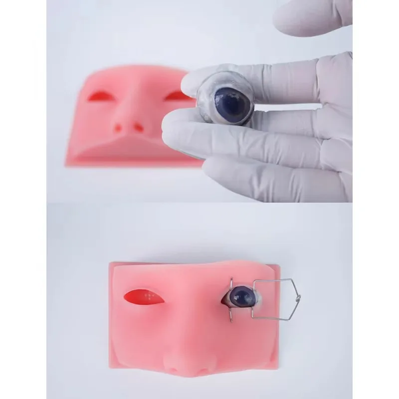 ophthalmic head model Ophthalmology Phacoemulsification Micromanipulation Silicone Ophthalmology Practice Model 120*75mm