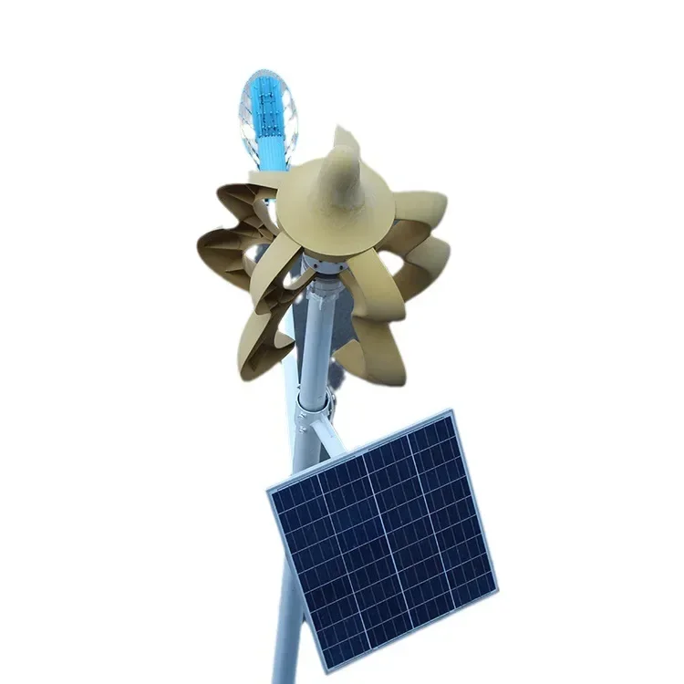 100W Baohulu Breeze Wind Generator