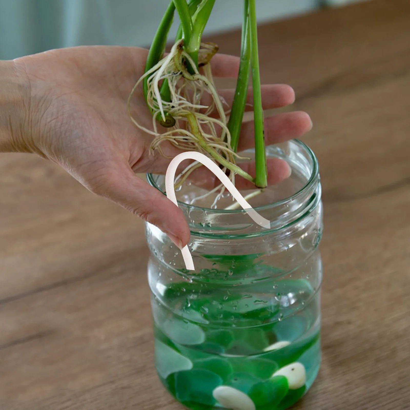 8Mm Potted Plant Absorbent Rope Cotton Hydroponic Rope For Automatic Watering Long Lasting Moisture Retention