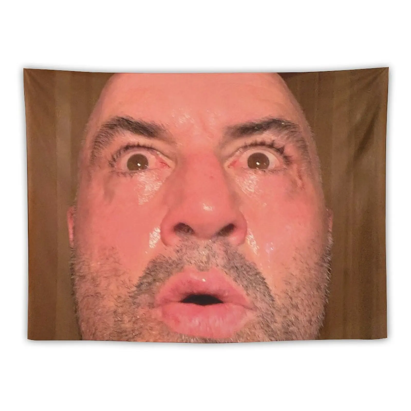 Joe Rogan Sauna Face Tapestry Decorative Paintings Aesthetics For Room