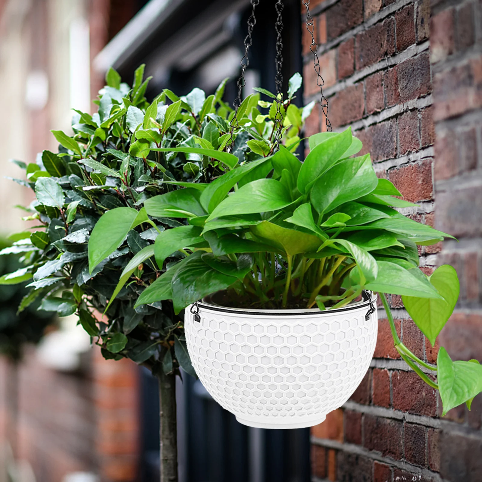 Flowerpot Practical Holder Hanging Pots for outside Decorate Attractive Appearance Decoration Plastic Chain-supported