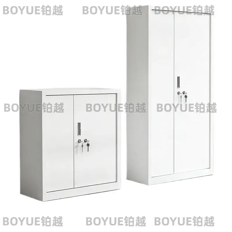 Heavy Duty Iron Storage Cabinet with Double Lock Security for Files Documents Reagents and Hazardous Materials Office Home