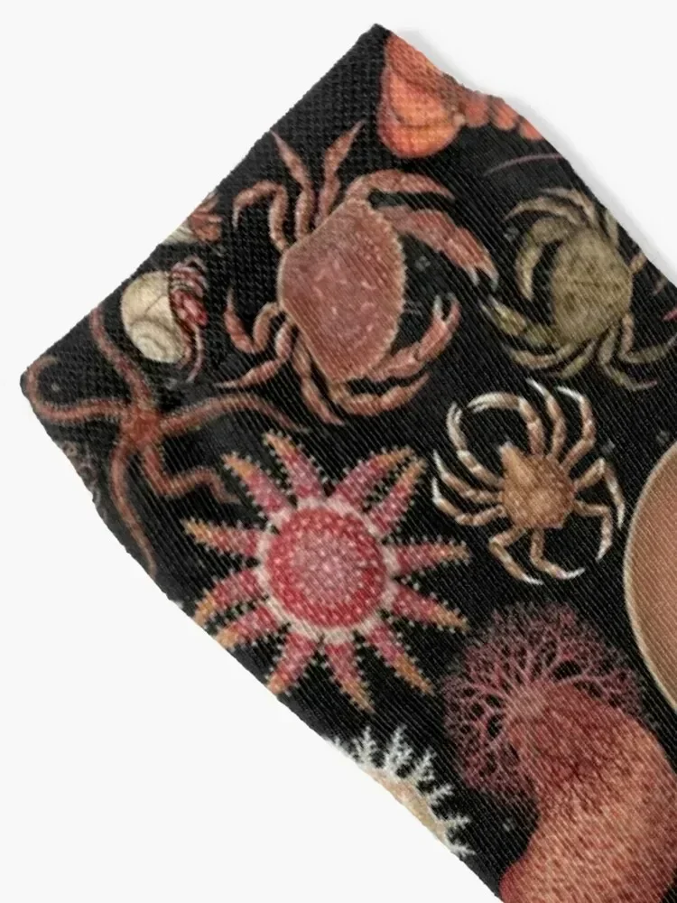 Intertidal Life of the North Atlantic Socks Running crazy floral sports and leisure Male Socks Women's