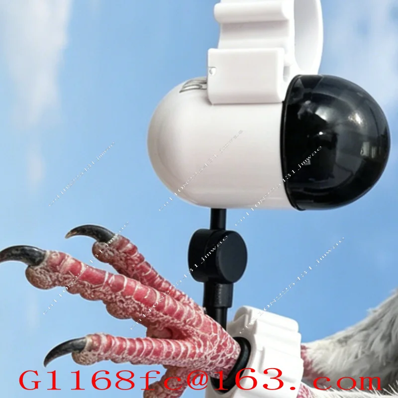 Real-Time GPS locator for Pigeons and Loros Outdoor Flight locator Leg Bands and Ring Pigeon Piogeon  Positioning