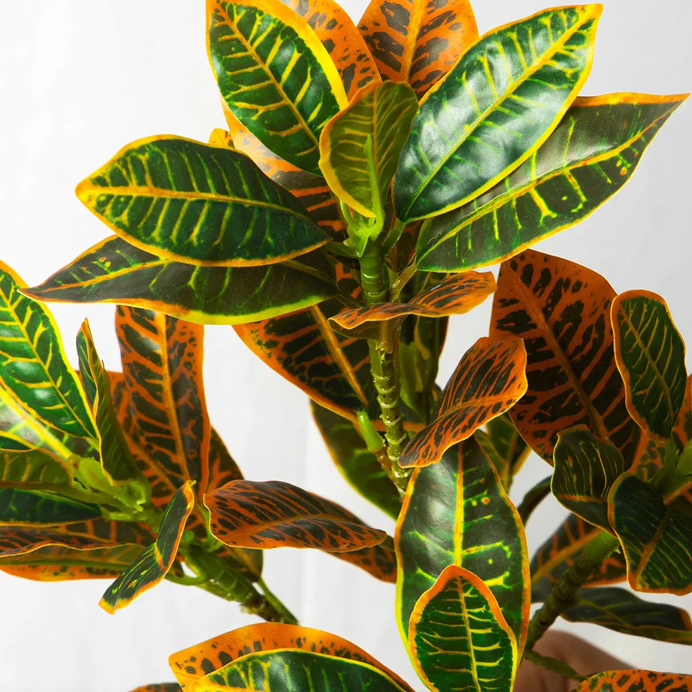 24-41cm Künstliche Pflanzen, künstlicher Ficusbaum, tropische Codiaeum-Zweige, Kunststoff-Magnolienpflanze, geeignet für die Dekoration von Zuhause und Büro. – Detail 10