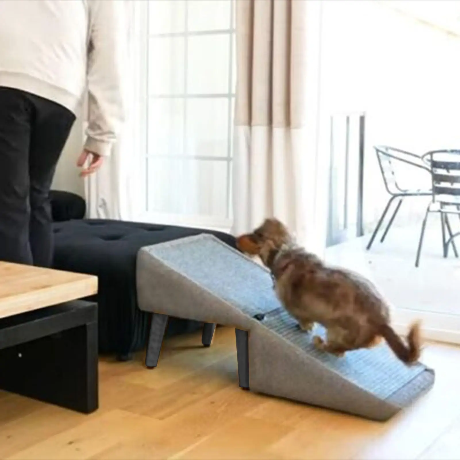 Thumbnail 3 - #5 New Dog Ramps Arrivals