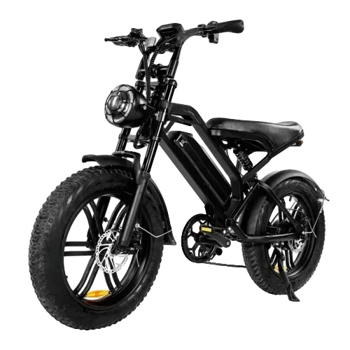 V20 1000W 48V20AH Back Seat Fat Tire Electric Bike Beach Cruiser Off-Road Electric Bike Adult Mountain Electric Bike