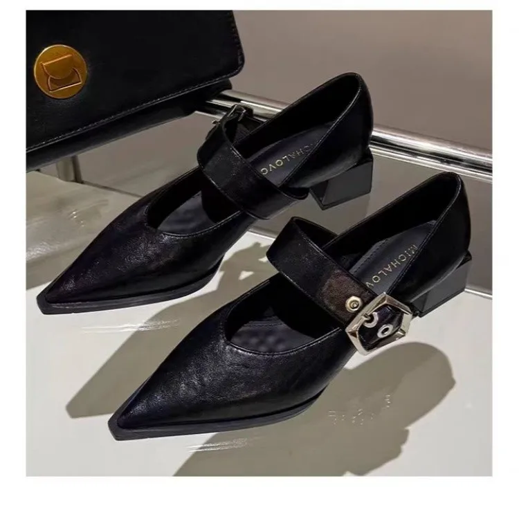 Retro Pointed Toe Mary Jane Small Leather Shoes Women's British Fengchun Autumn New French Fashion Block Heel Shoes