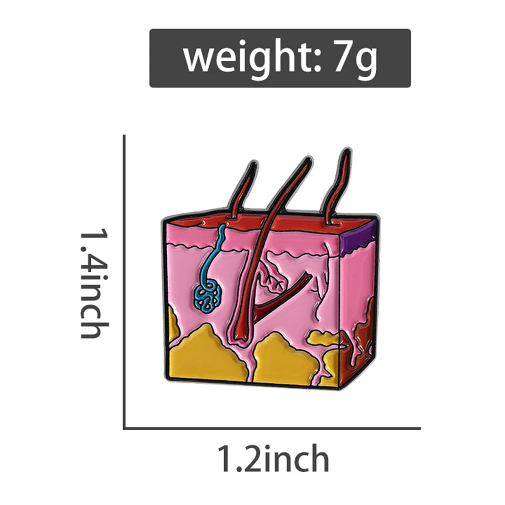 Hanreshe Skin Follicle Enamel Pin Medical Dermatology Brooch Backpack Lapel Badge for Doctor Nurse Gifts Collections