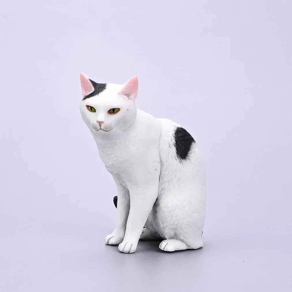 Kitan gashapon cápsula brinquedo osamu moriguchi gato figura moskot animal decoração de mesa modelo figura crianças presentes aniversário