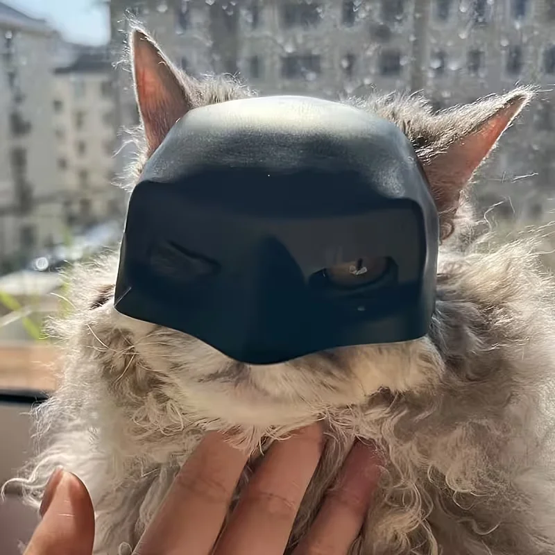 Schwarze Fledermaus/Weiße Katzen-Fotomaske für Streiche und lustige Halloween-Partys, Haustier-Zubehör – Detail 2