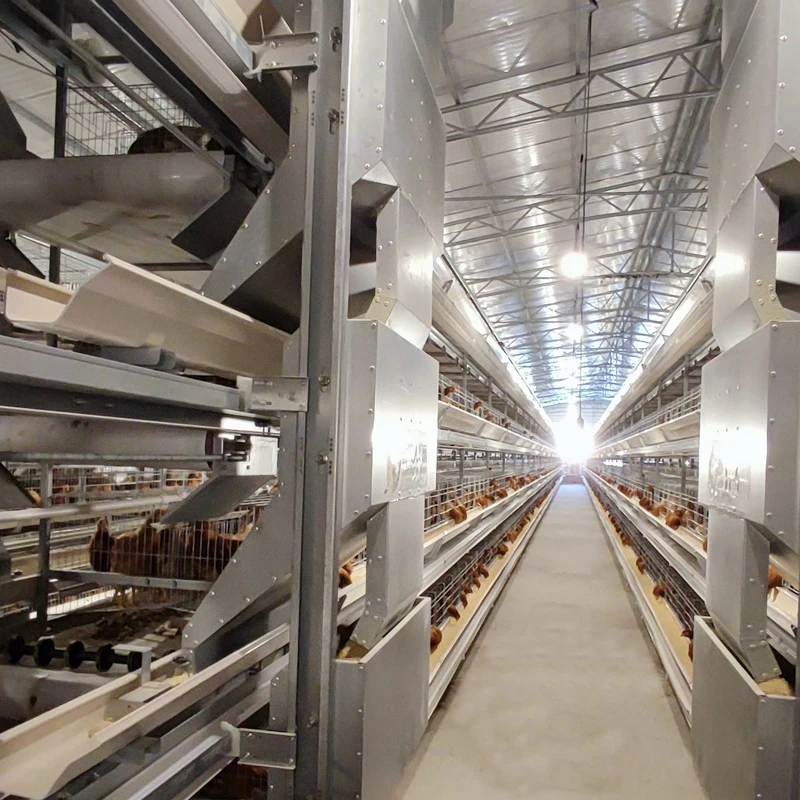 Sistema automático de gaiola de bateria para aves, camada de frango para agricultura