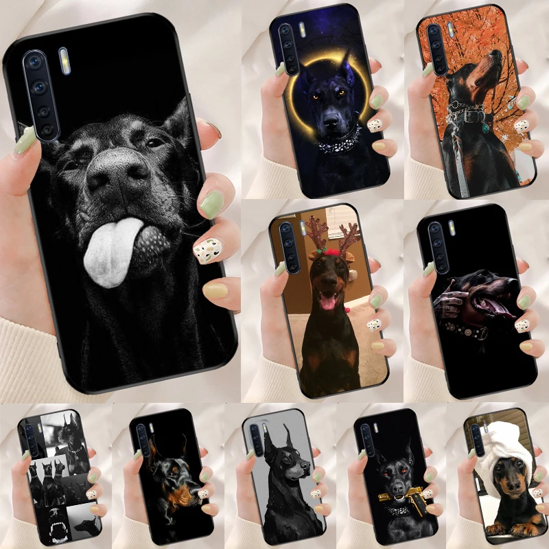 Animal Doberman Dog…