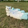 white-blue