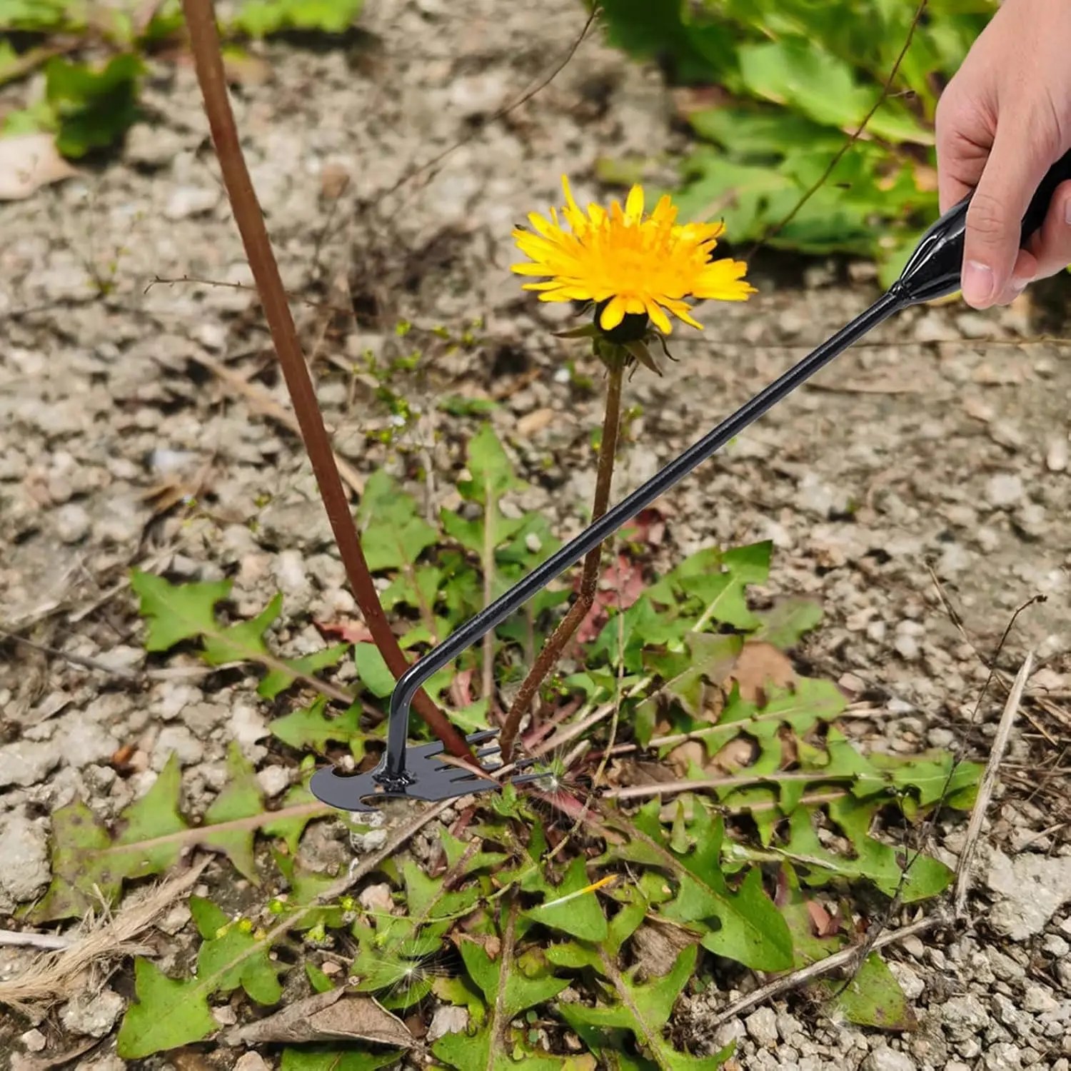 Outil de désherbage manuel en acier inoxydable, outil de désherbage de jardin, Upro18e