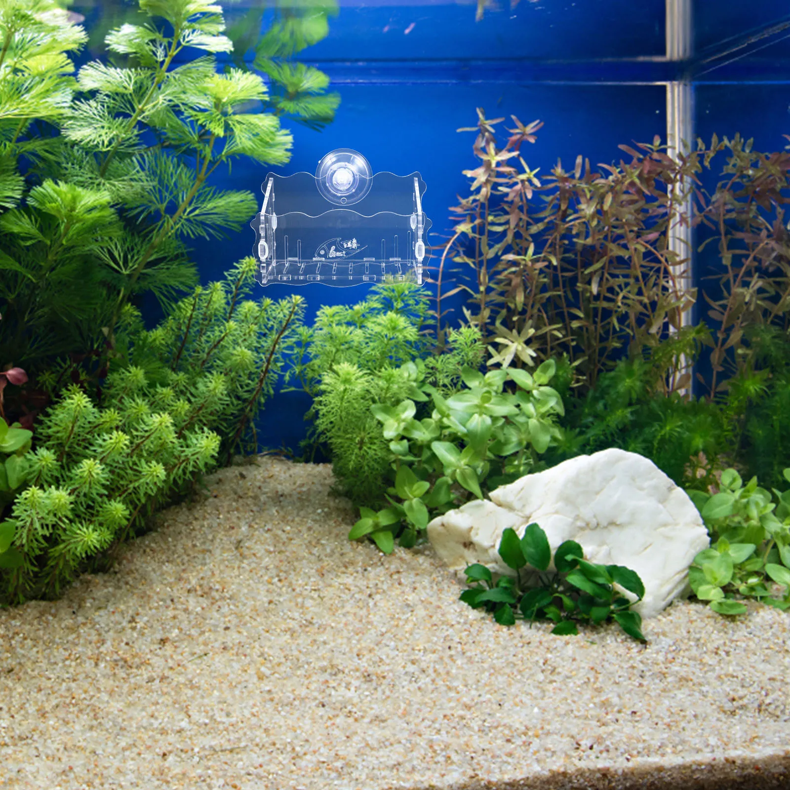 

Water Plant Cup Clear Acrylic Aquarium Planter with Suction Cup for Fish Tank Hanging Mount Easy Installation Smooth Edge