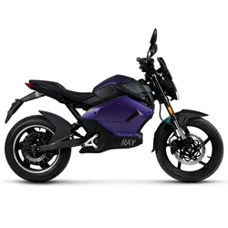 2022 Long Battery Life High Performance Motor 2000w Street Legal Electric Motorcycle