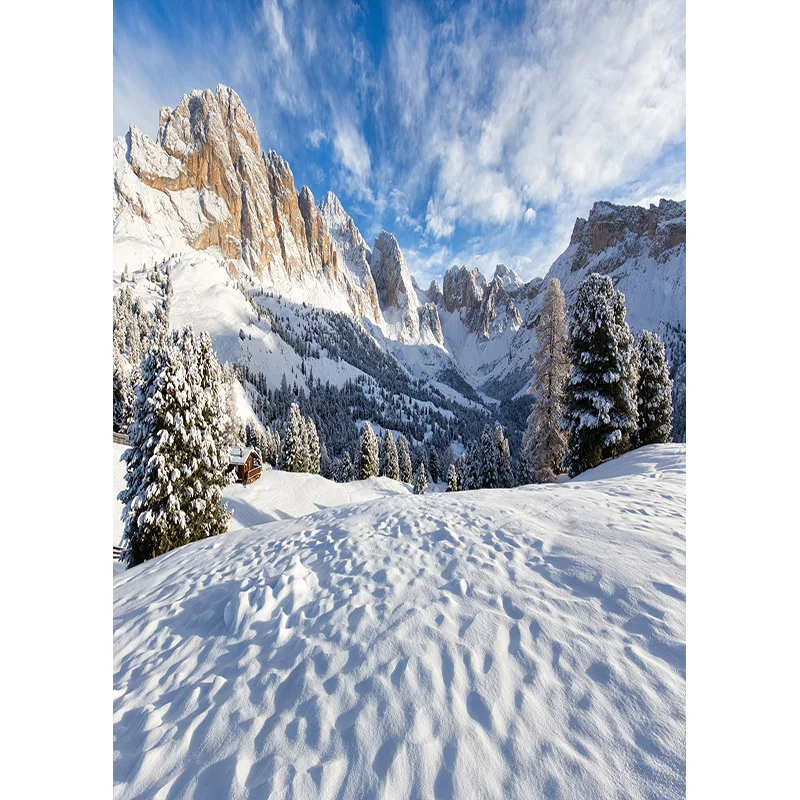 Photorealistic Fabric Photography Backdrops Prop Snow scene Photography Background  2021112XJ-02