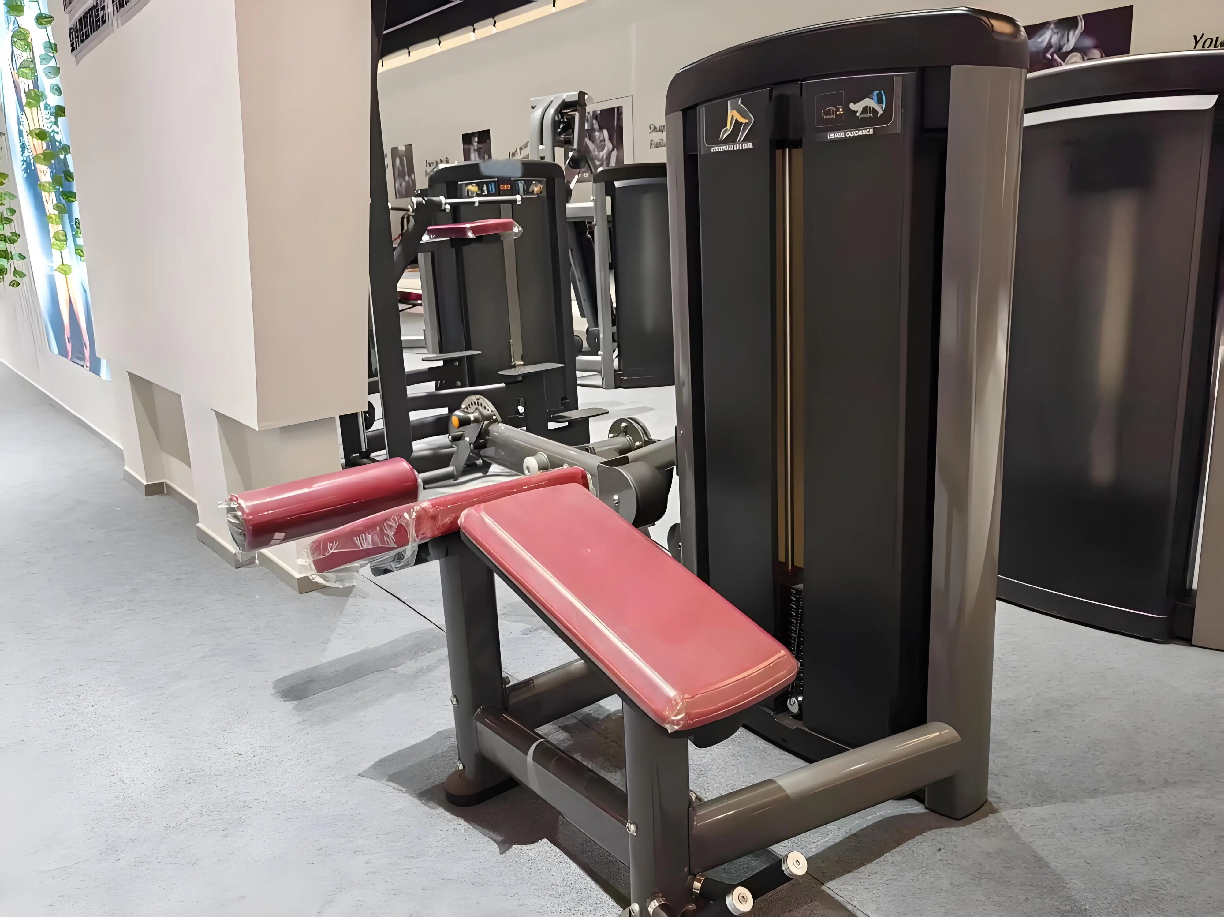 Cheongar Mini Loader Commercial Fitness Body Building Machine With Durable Metal Construction For Gym Use