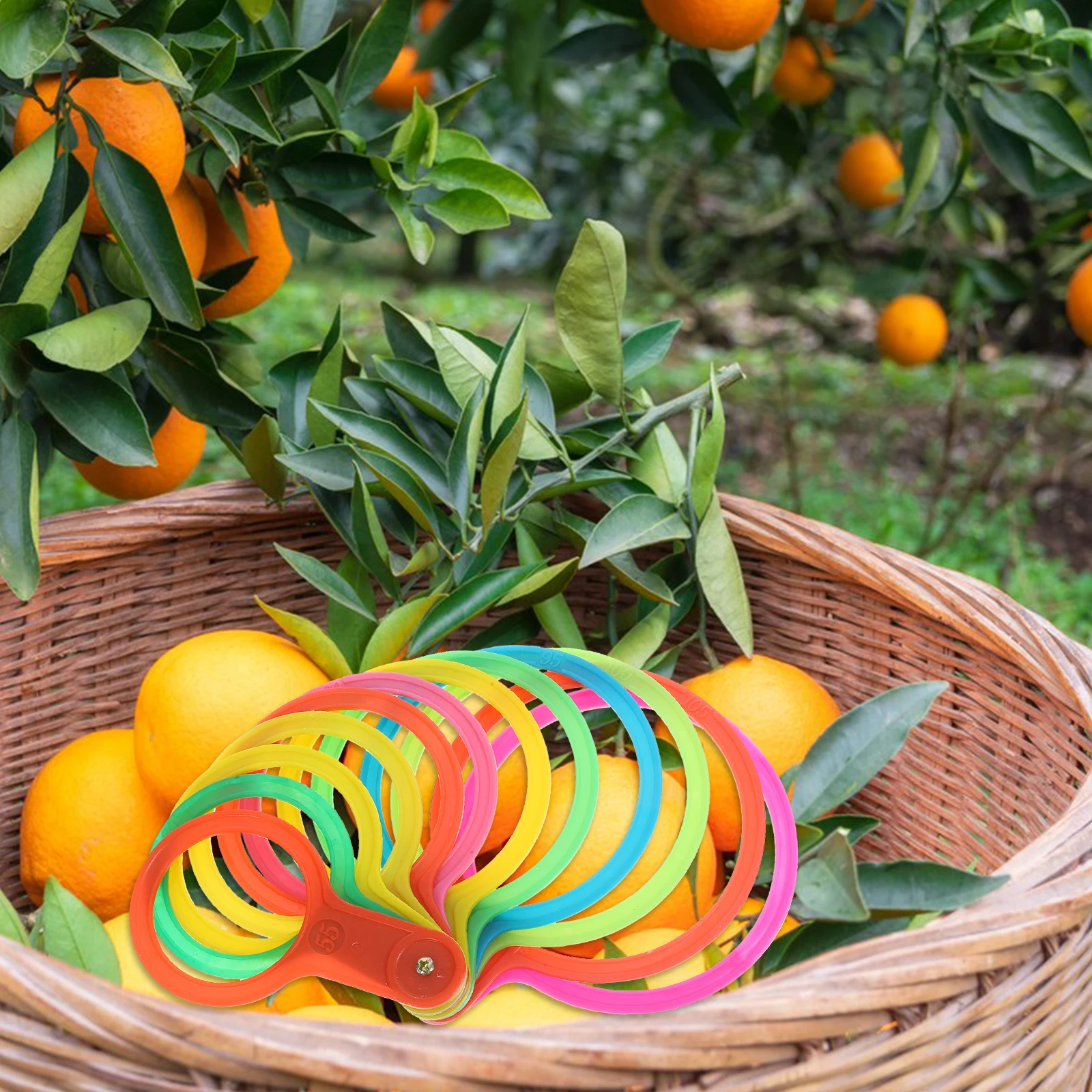 

Fruit Diameter Measuring Device Measurement Tool Avocado Orange Plastic Carving Tools Gauge Size Classification