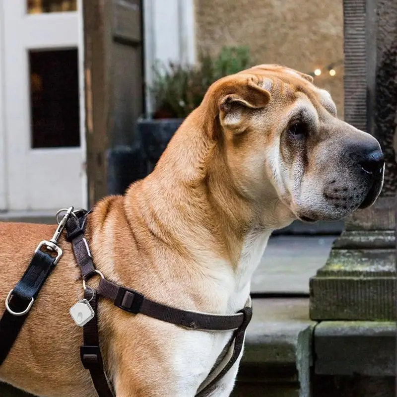 Dispositivo di localizzazione del cane GPS IPX65 impermeabile Anti-smarrimento 60db Tag di tracciamento dell'allarme alimentato a batteria a prova di polvere localizzatore di gatti chiave sigillata