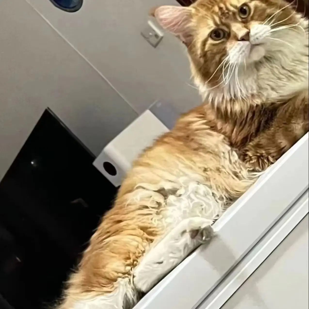 

qweqwr qwrqwe qweqwe qweqwe