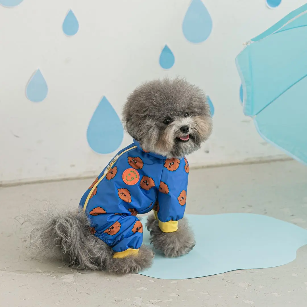 Poncho de Pluie Imperméable pour Chien de Taille Moyenne, Petit Gabarit à Quatre Pattes, Teddy Bichon