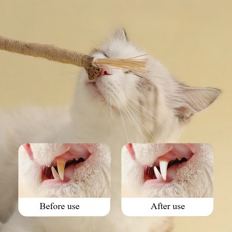 متجر TH ألعاب القطط، ألعاب القطط، تنظيف الفم، القطط الأليفة، ألعاب الترفيه الذاتي في الأسهم، الجملة ألعاب آنفان جوديوز، ألعاب معالجة تغليف