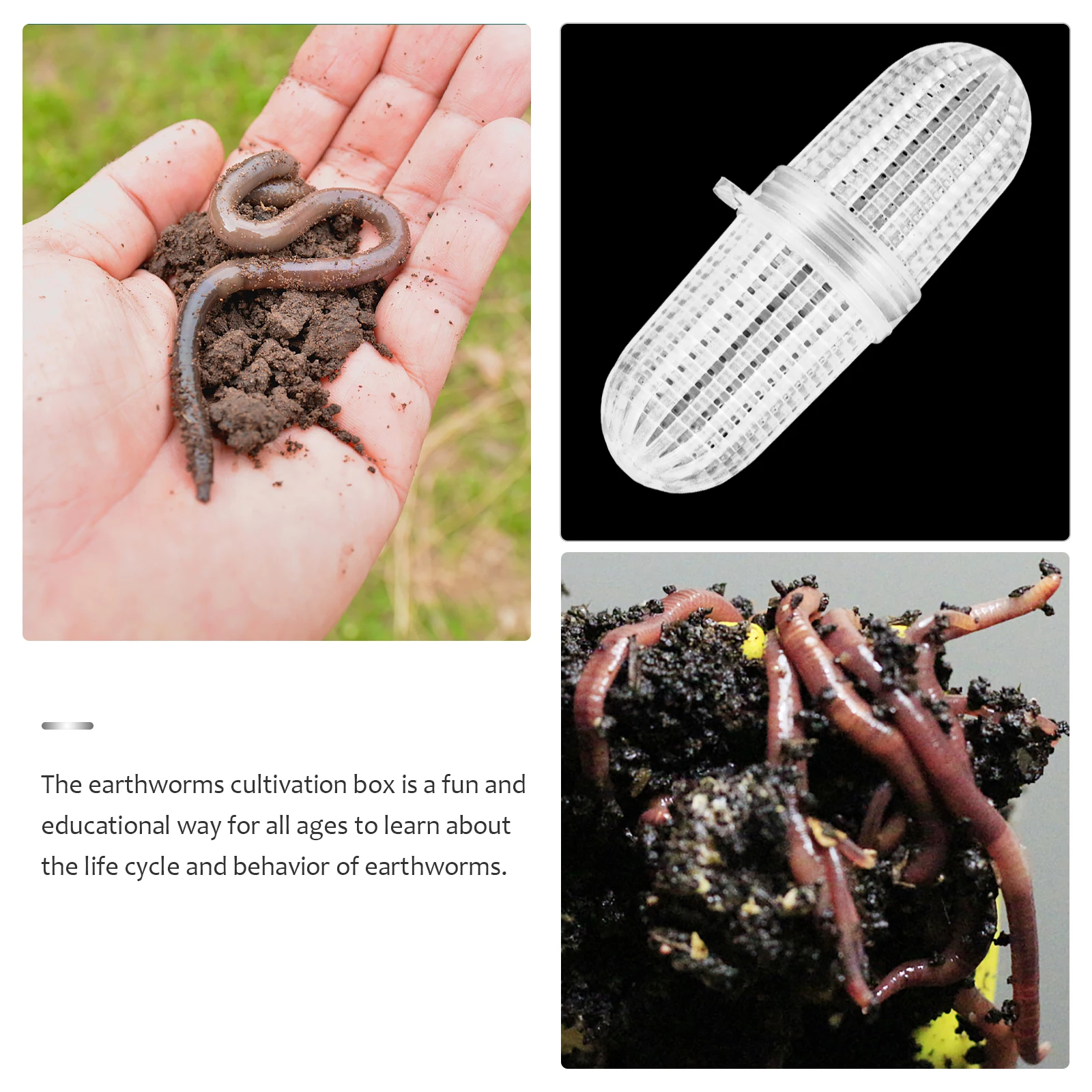 

10pcs Breeding Box Plastic Rainworm Box For Indoor Ventilative Composting Cultivation Tank Household Rainworm Keeper