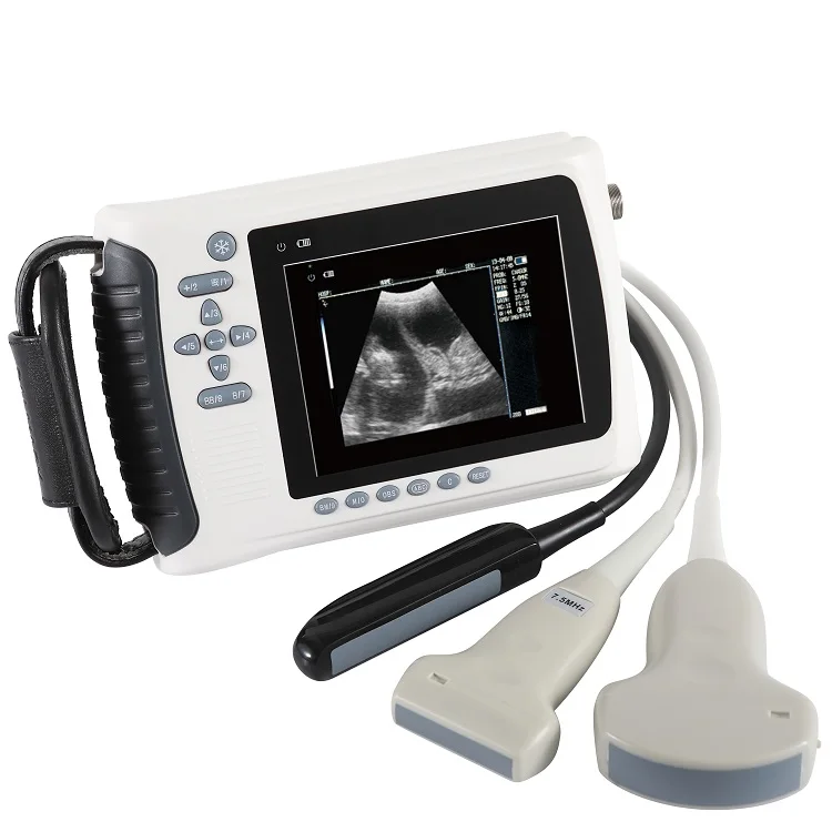 Cheap price medical portable veterinary  B/W portable small ultrasound machine