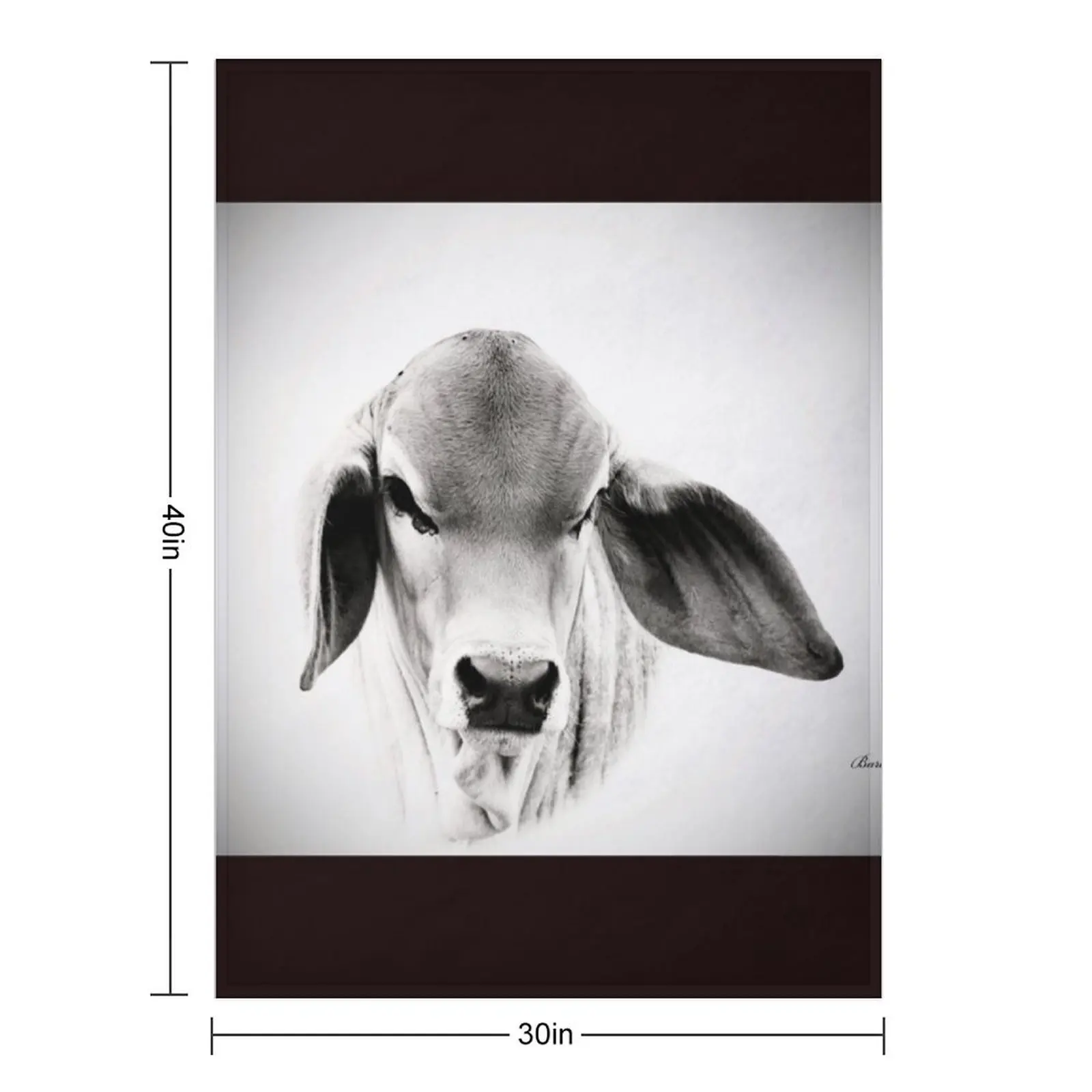 برهمان العجل، صورة، جدار الفن رمي بطانية منقوشة الثقيلة للأطفال الحرارية لبطانيات السفر