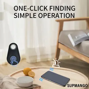 6 Main Localizer Sales - №5