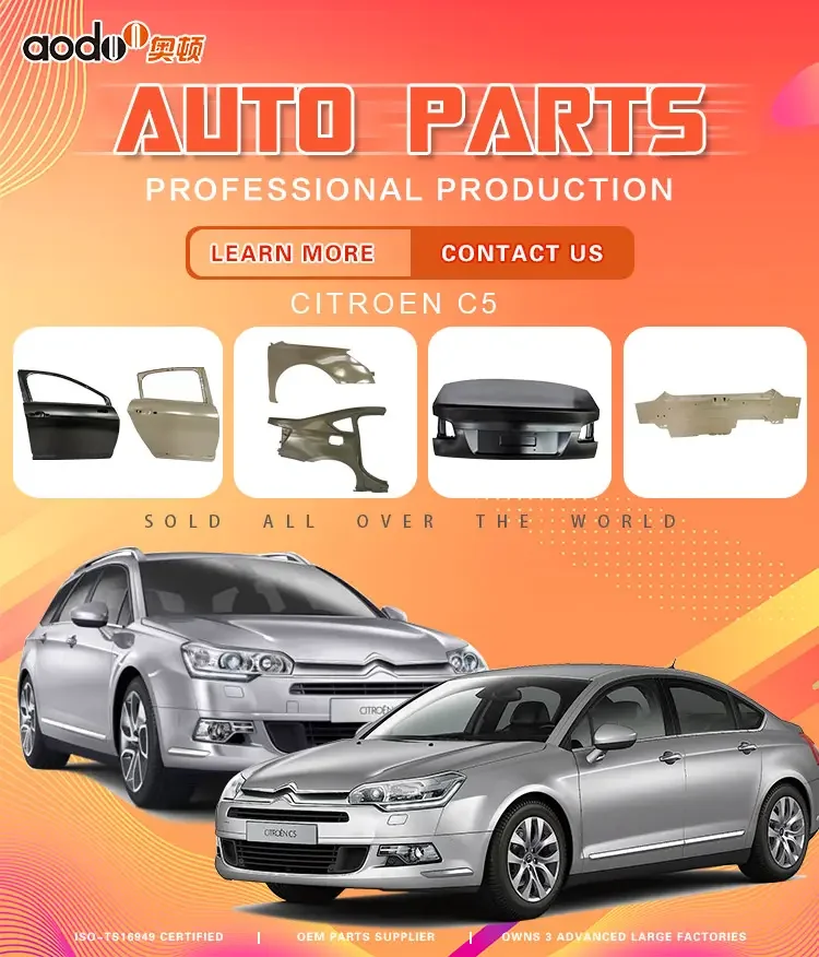 Factory Price High Quality Wholesale Metal Car Body Parts Front Rear Door Panel for Citroen C5