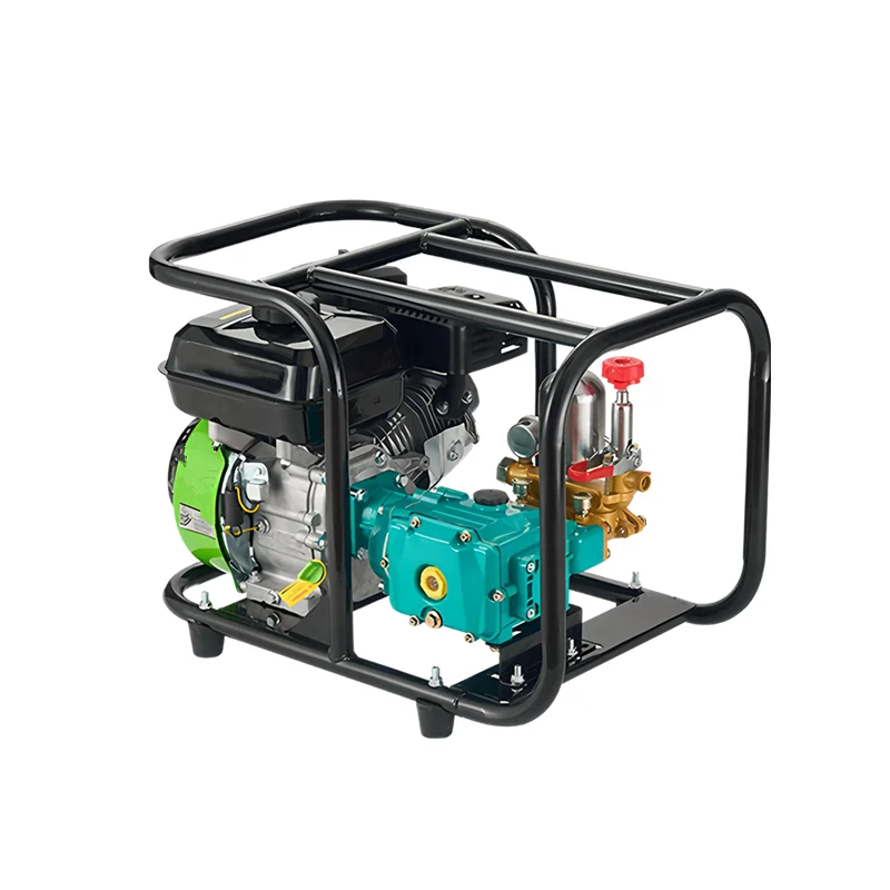 

Сельскохозяйственный опрыскиватель с дизельным двигателем 170F, 4-тактный, с прямым приводом, для больших ферм, с ручным запуском, модель 60 — высокая производительность