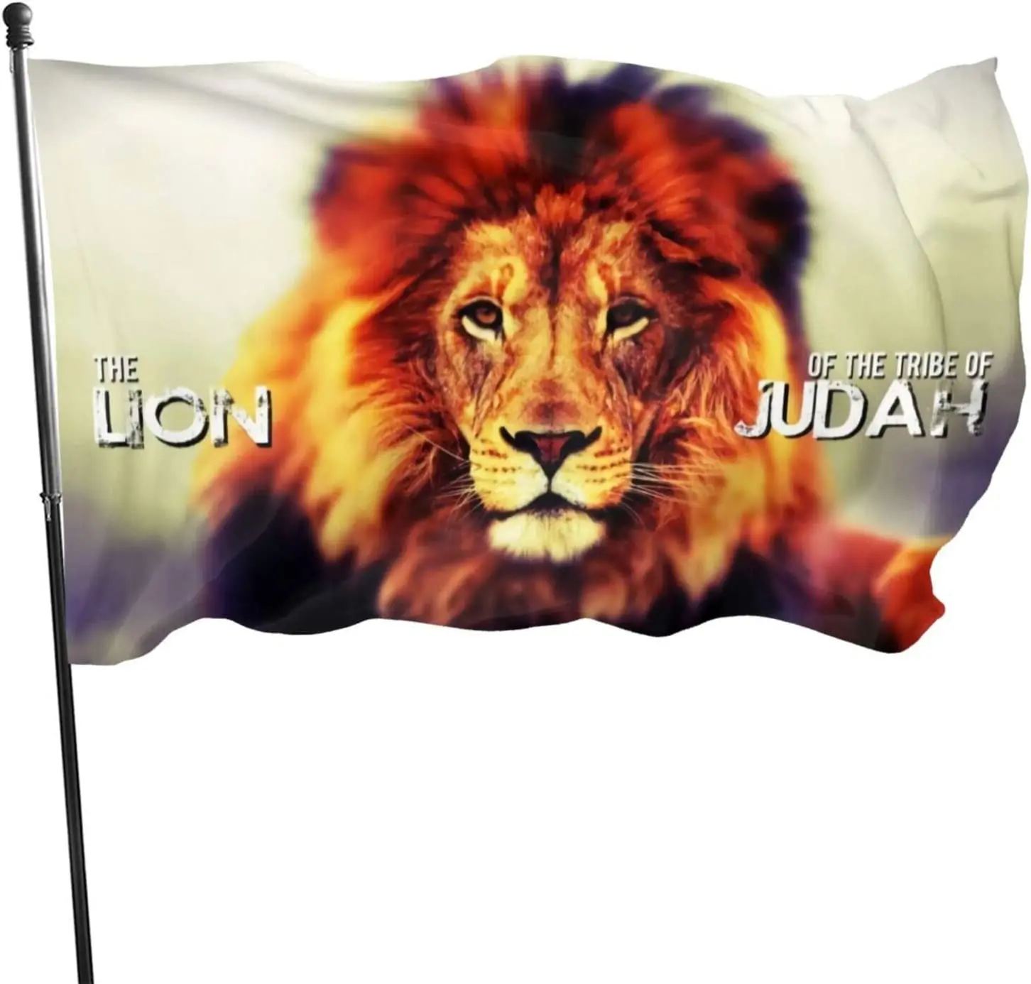 

Lion 3x5 Feet Flag -Uv Fade Resistant Flag for Outdoor House Porch Welcome Holiday Decoration Garden Flag