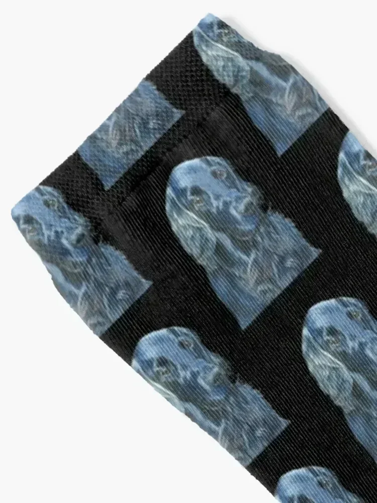 Flat coated Retriever Socks shoes cool crazy Rugby Men's Socks Luxury Women's