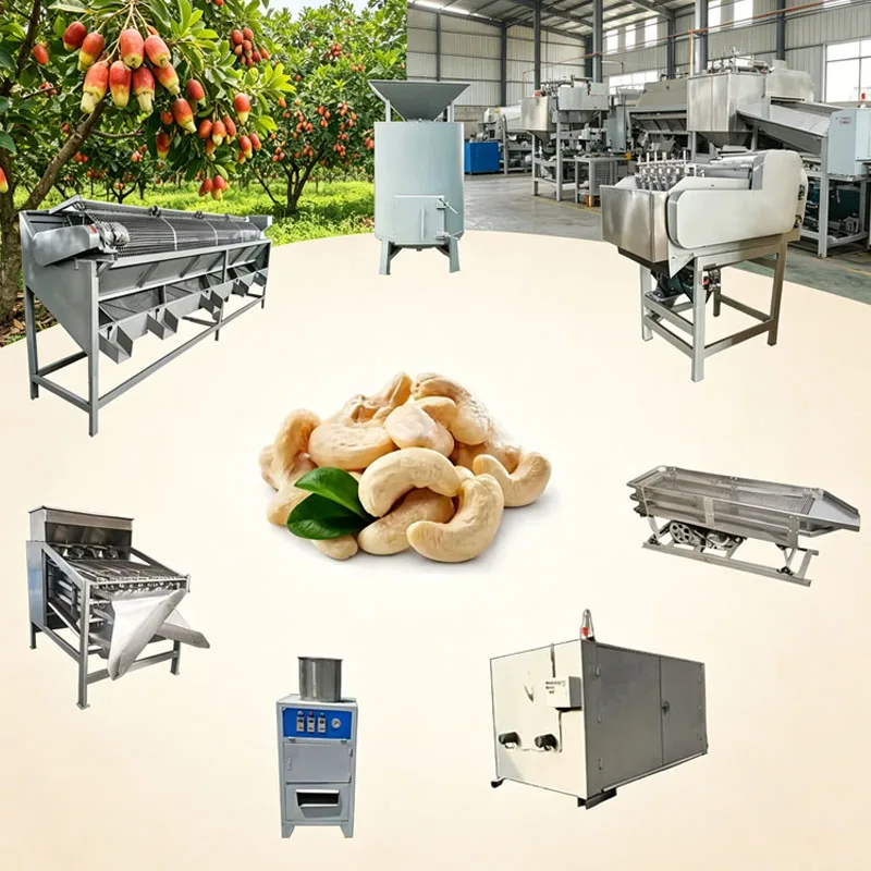 Cashew Nut Processing Line with Cracking Shelling Peeling System for White Kernels Customized
