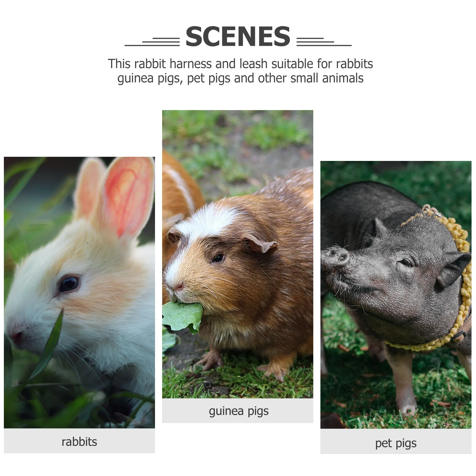 

Rabbit Harness Leash Adjustable Ultra-Soft Lightweight Pet Harness For Small Animals Walking Running Safety Control