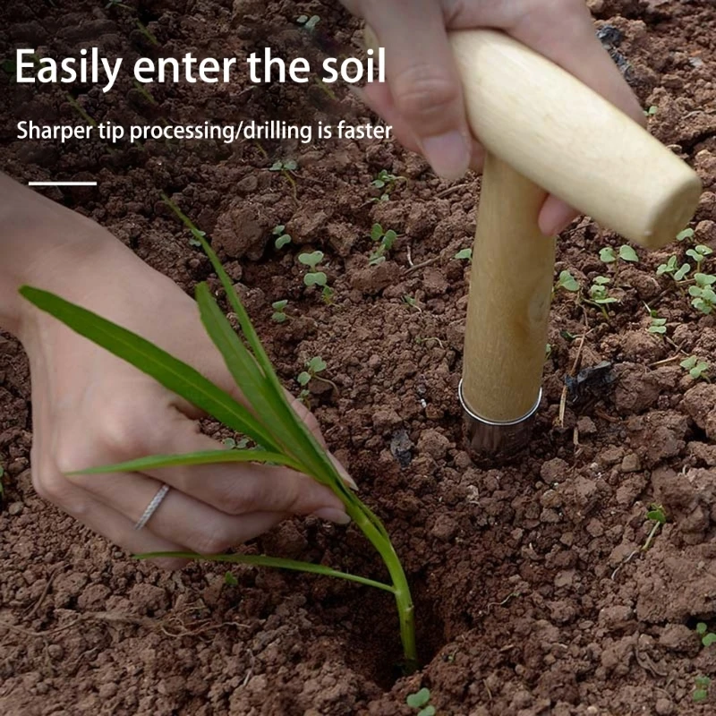 Hand Dibber Stainless Steel Sow Dibbler with Handle Garden Hole Tool